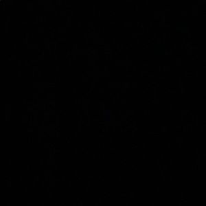 Meet your Posher, Celeste